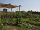 AmbientAzioni 2022, scelto il progetto “Irrigazione responsabile” per gli orti urbani di Mirafiori Sud