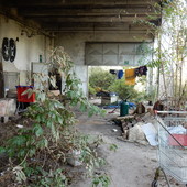 Abbandono nell'ex Osi Ghia