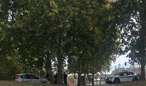 "Birra e pollo a 12 euro alla Pellerina". Timori di residenti e politica: "La manifestazione è autorizzata?"