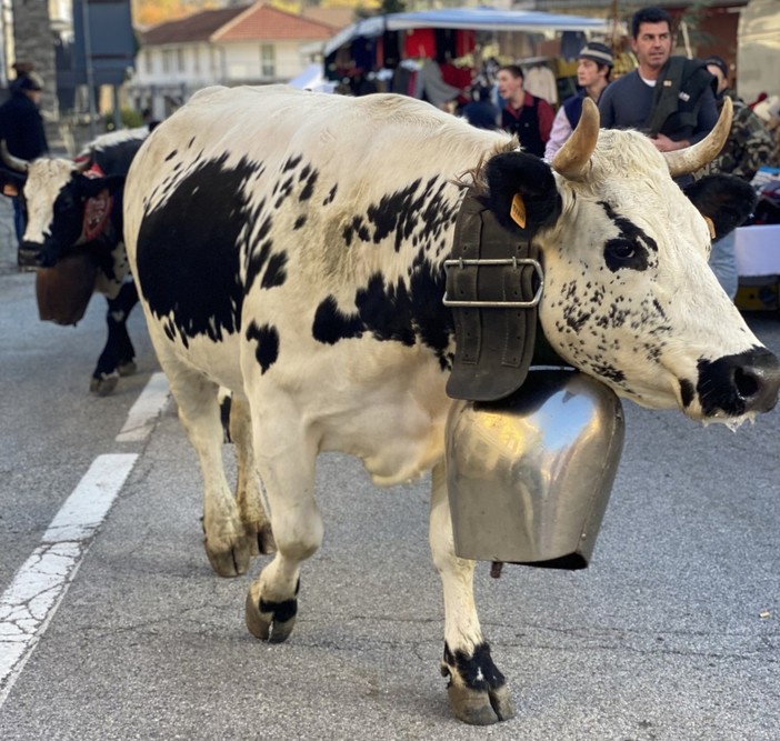 (Foto di repertorio) (Foto di repertorio)