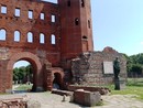 impronta di cane alle Porte Palatine