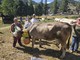 La cinquina del Grand Puy a Miss Mucca a Pragelato