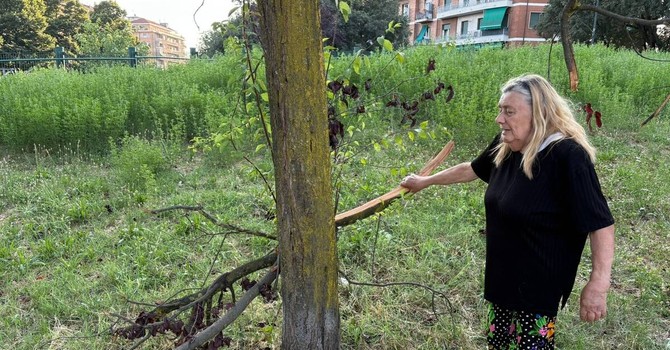 L'appello dei frequentatori del giardino di corso Caio Plinio