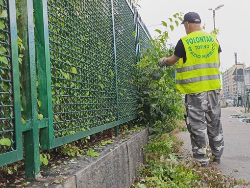 Volontari, a colpi di cesoie, ripuliscono il marciapiede davanti alla scuola Re Umberto I