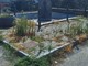 Piazza Marinai