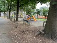 Giardini Ravera, nasce il patto per la rinascita