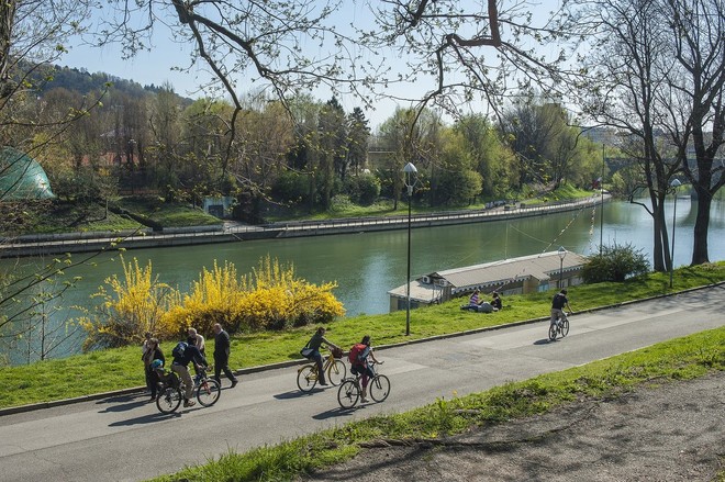 L'iniziativa dell'Associazione weTree lunedì prossimo al parco del Valentino
