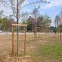 Parco del Valentino, l'allarme di Procivicos: "Gli alberi piantati sono già secchi"