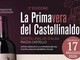 La Primavera del Castellinaldo Barbera d’Alba