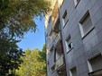 Le condizioni delle alberate Le condizioni delle alberate