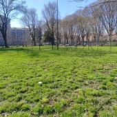 Lucento in festa: domani mattina tutti in campo per ripulire il giardino Cavallotti e le strade del quartiere Lucento in festa: domani mattina tutti in campo per ripulire il giardino Cavallotti e le strade del quartiere