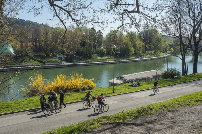 L'iniziativa dell'Associazione weTree lunedì prossimo al parco del Valentino