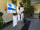 La mostra al primo piano del municipio La mostra al primo piano del municipio