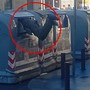 Dilaga il fenomeno del “dumpster diving”