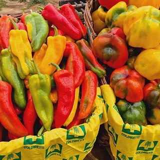 Appuntamento con Coldiretti alla Fiera del Peperone di Carmagnola