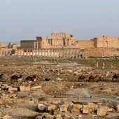 Palmyra, foto da Wikipedia Palmyra, foto da Wikipedia