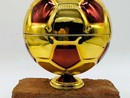 Il Castello di Moncalieri ospiterà la premiazione del Pallone Granata