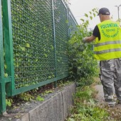 Volontari, a colpi di cesoie, ripuliscono il marciapiede davanti alla scuola Re Umberto I