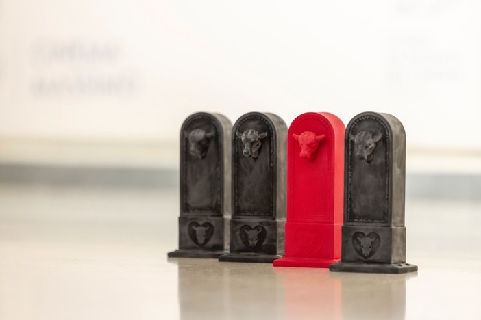 Glocal Film Festival 2025, tutti i premiati della 24^ edizione Glocal Film Festival 2025, tutti i premiati della 24^ edizione