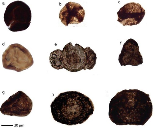 Tracce di fossili a livello del mantello terrestre: nelle valli del Pinerolese il primo caso al mondo Tracce di fossili a livello del mantello terrestre: nelle valli del Pinerolese il primo caso al mondo