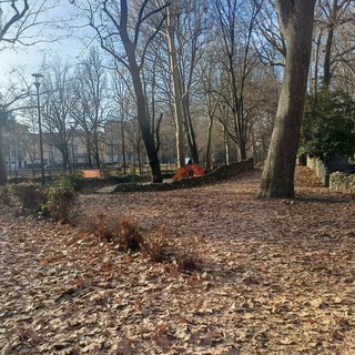 Disagi e degrado al parco Michelotti