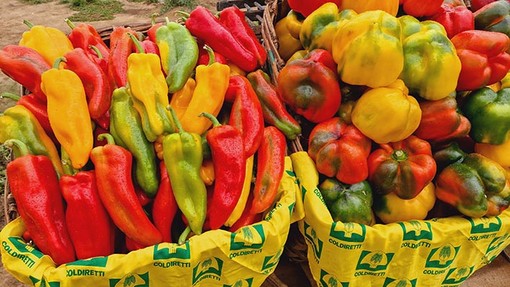 Appuntamento con Coldiretti alla Fiera del Peperone di Carmagnola