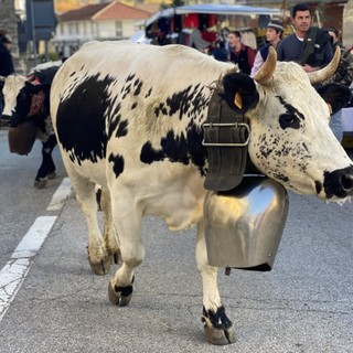 (Foto di repertorio) (Foto di repertorio)