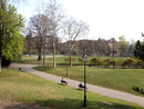 Nuove idee per il parco del Valentino