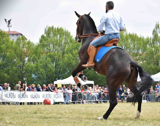 (Foto di Stefano Bricco)