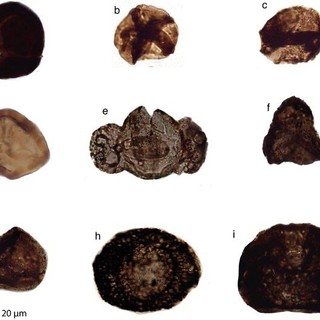 Tracce di fossili sotto al mantello terrestre: nelle valli del Pinerolese il primo caso al mondo
