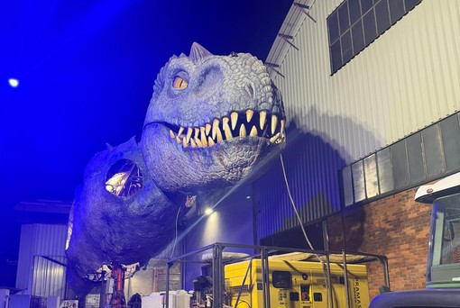 Il T-Rex curato nel capannone di Riva