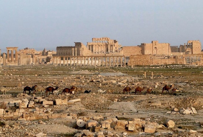 Palmyra, foto da Wikipedia Palmyra, foto da Wikipedia