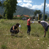 Un monitoraggio entomologico