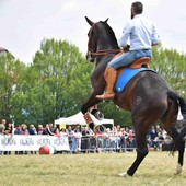 (Foto di Stefano Bricco)