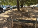 La denuncia dei cittadini: "Le panchine del giardinetto cadono a pezzi" La denuncia dei cittadini: "Le panchine del giardinetto cadono a pezzi"