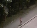I residenti di Borgo Vittoria denunciano problemi di degrado I residenti di Borgo Vittoria denunciano problemi di degrado