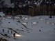 Running Sunset Snow a Pian Munè di Paesana (Cn): di corsa sulla neve all’ora del tramonto