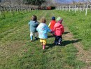 Bambini nei campi de Gli Gnomi dei Kiwi