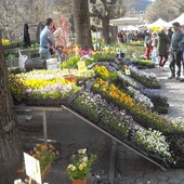 (Foto di repertorio) (Foto di repertorio)