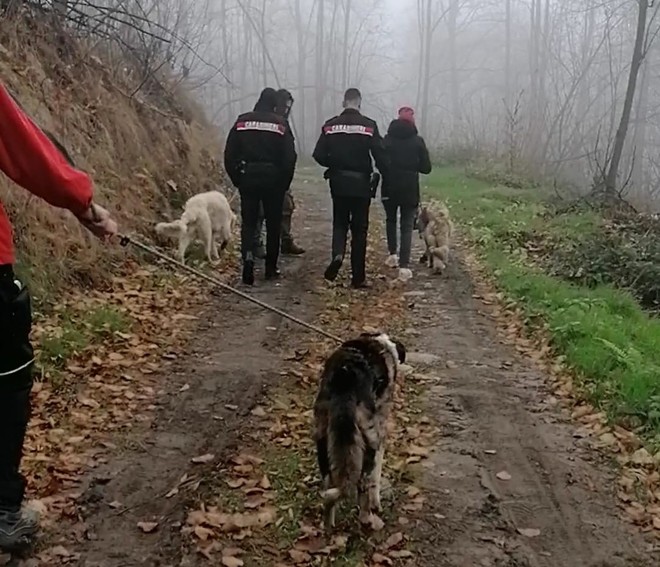 I tre cani sequestrati a Pramollo
