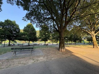 L'appello dei frequentatori del giardino di corso Caio Plinio