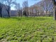 Lucento in festa: domani mattina tutti in campo per ripulire il giardino Cavallotti e le strade del quartiere Lucento in festa: domani mattina tutti in campo per ripulire il giardino Cavallotti e le strade del quartiere