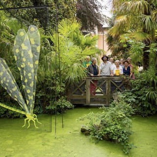 ‘Palpares libelluloides’