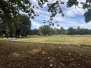 Il parco della Pellerina Il parco della Pellerina
