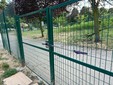 L'appello dei frequentatori del giardino di corso Caio Plinio