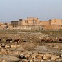 Palmyra, foto da Wikipedia Palmyra, foto da Wikipedia