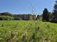 Il pericolo dell’estinzione e le storia di Umanimali al Bosco Urbano Partecipato di Pinerolo