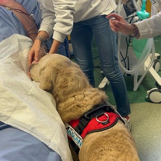 Come la pet therapy può aiutare i pazienti dell'ospedale di Rivoli