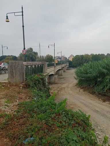 Una pulizia sotto il ponte Amedeo VIII Una pulizia sotto il ponte Amedeo VIII