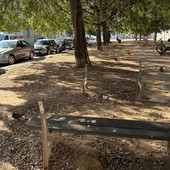 La denuncia dei cittadini: &quot;Le panchine del giardinetto cadono a pezzi&quot;